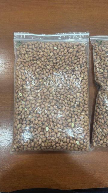 Runner Peanuts – Split Blanched, Bolivia Origin - Image 3