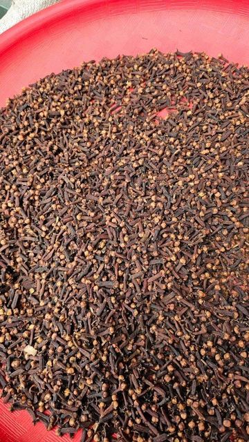Clove Ambon Lalpari Ab06 – product photo 2, product detail gallery