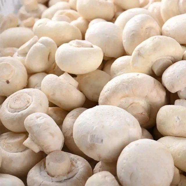 Wholesale or Retail IQF Champignons Slice Blanched Fresh Frozen Mushroom for Frozen White Mushroom Slice or Dry Mushroom Slices - Image 2