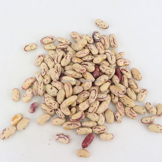 Pinto Beans Organic Dried Light Speckled Kidney Beans Sugar Beans - Image 5