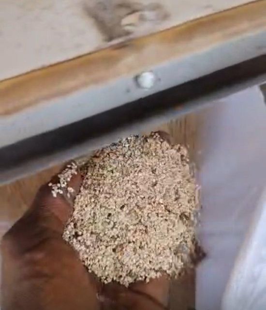 Natural brown Sesame seed - Image 2