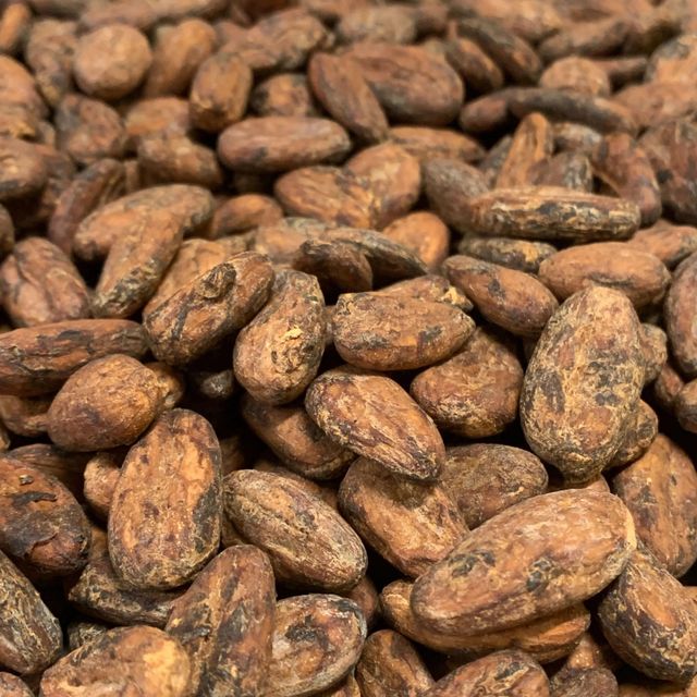 Bulk supply of raw Cocoa bean with high purity Cocoa bean processed under strict quality control standards - Image 5