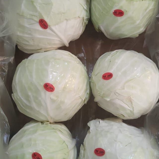 white Cabbage Style Fresh Address egypt Model Number 1 Quality Top Grade Manufacturer Bloom Taste Natural Taste Color Purple, - Image 1