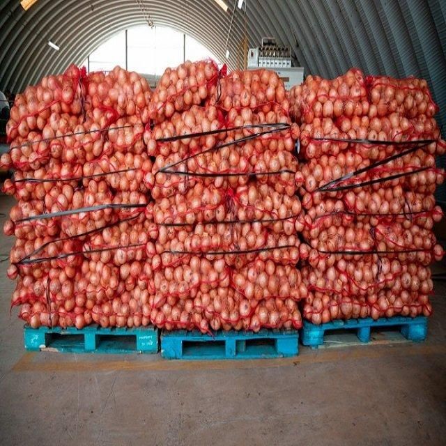 High Quality Top Grade New Crop Red Onions Natural Taste 40mm+ 1-Year Shelf Life Long Term Storage Custom Packing Best – product photo 1, product detail gallery