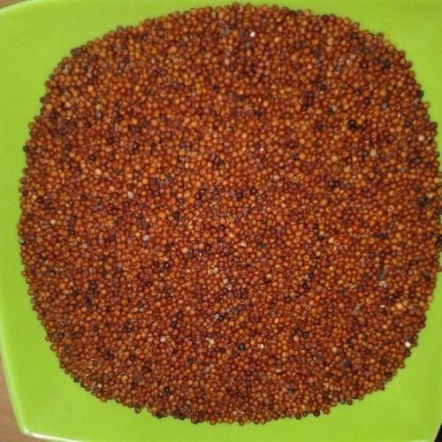 Clean finger millet bulk sale high quality grains wholesale distribution - Image 2