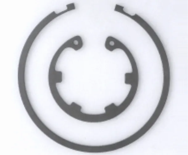 SK5 Main Snap Rings Material SK5 - Image 1