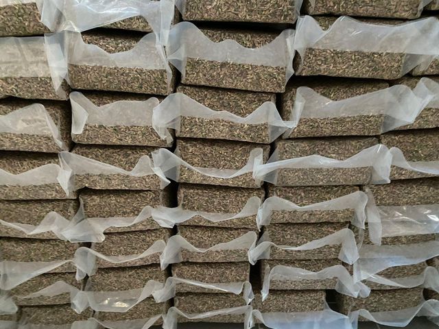 Pistachio in shell - Premium Quality - Raw or Roasted & salted dameged 2% - Image 3