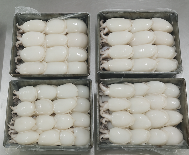 Cuttlefish - Image 2