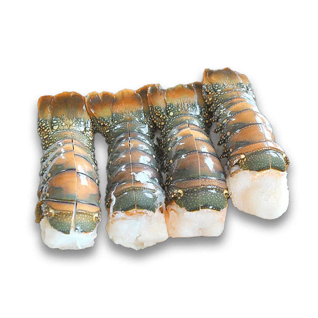 Frozen Fresh Lobsters Naturally Processed Seafood Offering 98% Whole Body Integrity And Superior Freshness - Image 4