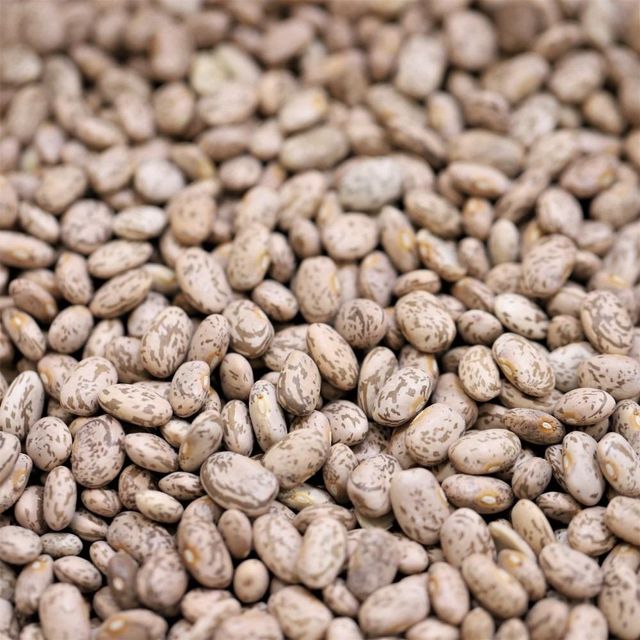 Natural Whole Dried Pinto Beans Prepared For Global Buyers With Hygienic Processing And Export Ready - Image 3