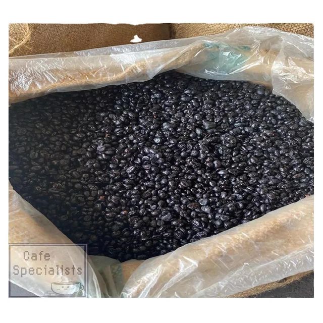 Top High CSNY12 Premium Quality Bag Packaging 250g [CS] Traditional Caffeinated Margarine Sugar Signature Roasted Coffee Beans - Image 1