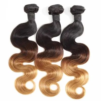 Wendy New Two Tone Virgin Remy Human Hair Grade 6A Hand Feel Soft Dyeable Dyeable Length 12-28inch Color Muti-Color Hair Density - Image 2