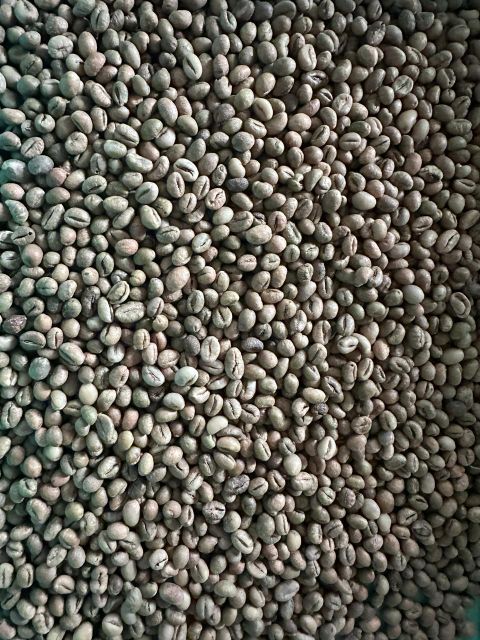Green Coffee Beans – product photo 1, product detail gallery