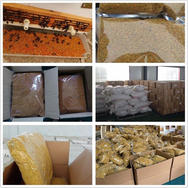 Bee Pollen Purity 100% Pure And Natural Types Mixed Bee Pollen, Sunflower Bee Pollen, Rapeseed Bee Pollen, Tea Pollen Packaging 1kg Or 5kg Per Foil Bag, 25kg Per Carton, Customized Packaging - Image 3