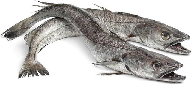 Available Stock Of Frozen Hake Fish/ Frozen Hake Fillet Fish Wholesale Good Quality Frozen Hake Fish - Image 2