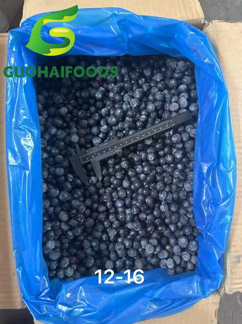 factory price Frozen sweet blueberry IQF blueberries wholesale price guohai foods Frozen fruits - Image 2