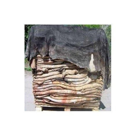 Premium wet salted cow hides for sale ideal for exporters and tanneries - Image 5