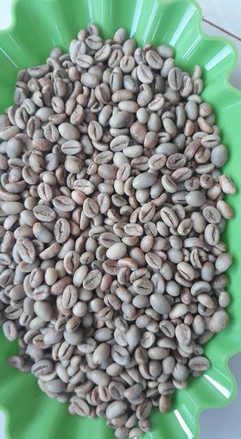 Coffee Beans Manufacturing Green Bean Commercial Arabica Robusta Coffee Beans Wholesale from Vietnam- WHATSAP 0084989322607 - Image 3