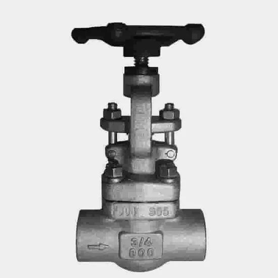 Automated Control Globe Valve Integrating Systems for Process Automation Globe Valve - Image 2