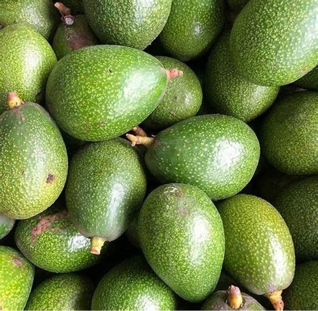 Fresh avocados are pear-shaped fruits known for their creamy texture and rich - Image 3