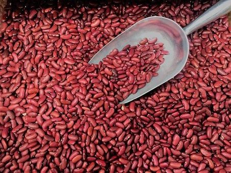 Wholesale Fresh Farm Red kidney beans - Image 3
