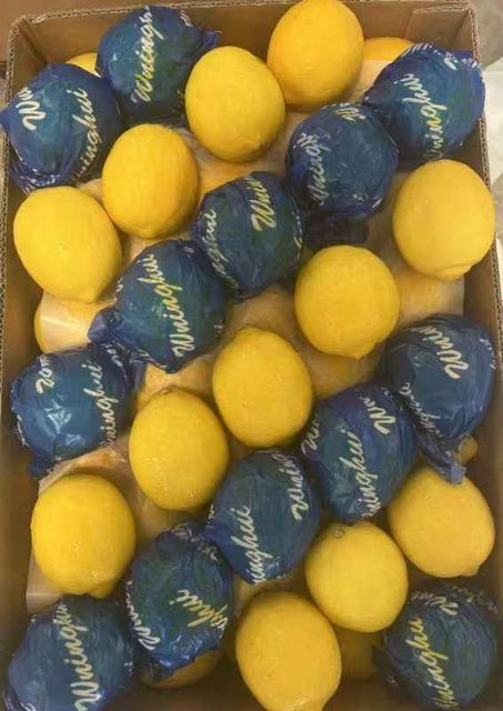 Lemon - Image 1