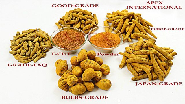 Turmeric Powder, Dried Turmeric Powder,Curcuma longa Powder, Curcuma longa Root Powder,Turmeric Root Powder, Curcuma Longa, Curcuma Longa Powder ,Dry Turmeric Powder, Turmeric Powder Bulk Supplier From India - Image 4