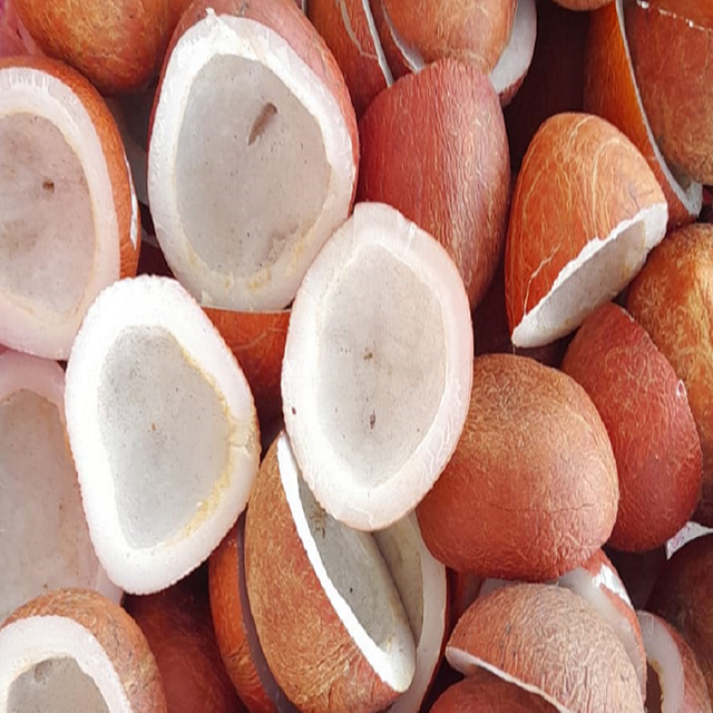 Top Quality Draide Copra for Export & Domestic Markets Copra for Candy Production On Sale Price - Image 3