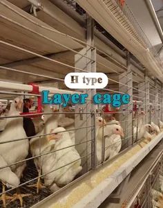 Advanced High-Accuracy Tools for Automatic Chicken Farm Management - Image 6