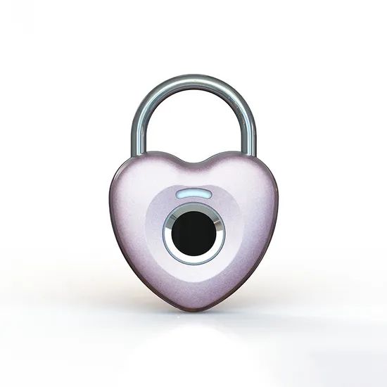 Mini Fingerprint Lock Child Safety Cabinet Locks for Babies Pad Lock - Image 2