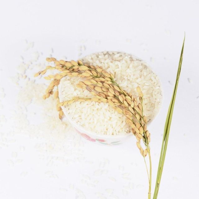 Natural White Mahmood Rice With Long Grain Structure And Premium Sorting For Global Bulk Buyers - Image 5