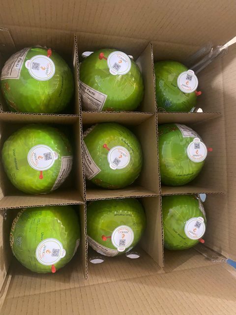 Diamond Coconut - Image 3