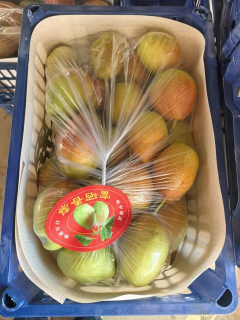 Fresh Red Fragrant Crisp Pears for Premium Global Markets Grade A Taste Sweet Size 150g up Quality Clean Storage Type 0 Shape Round-to-oval - Image 4