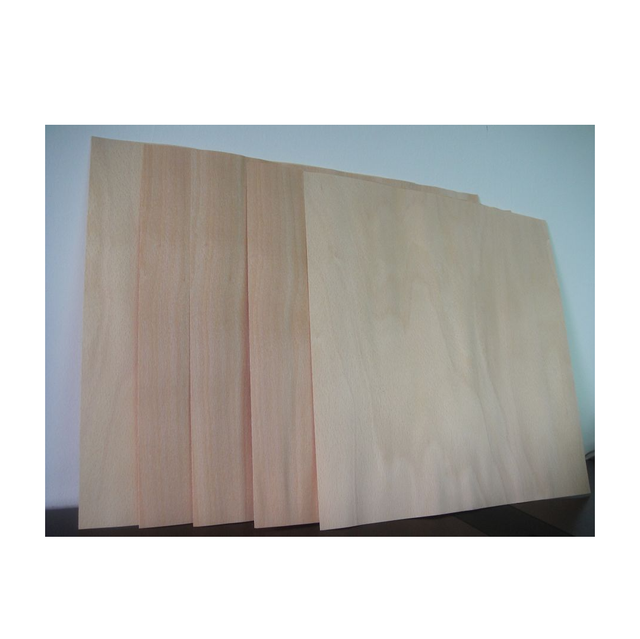 Natural Beech Rotary Cut Veneer Sheets – Furniture Grade Wood Type beech - Image 5