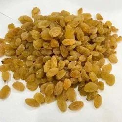 Raisin - Image 1
