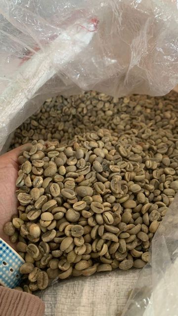 green Bean Arabica – product photo 1, product detail gallery