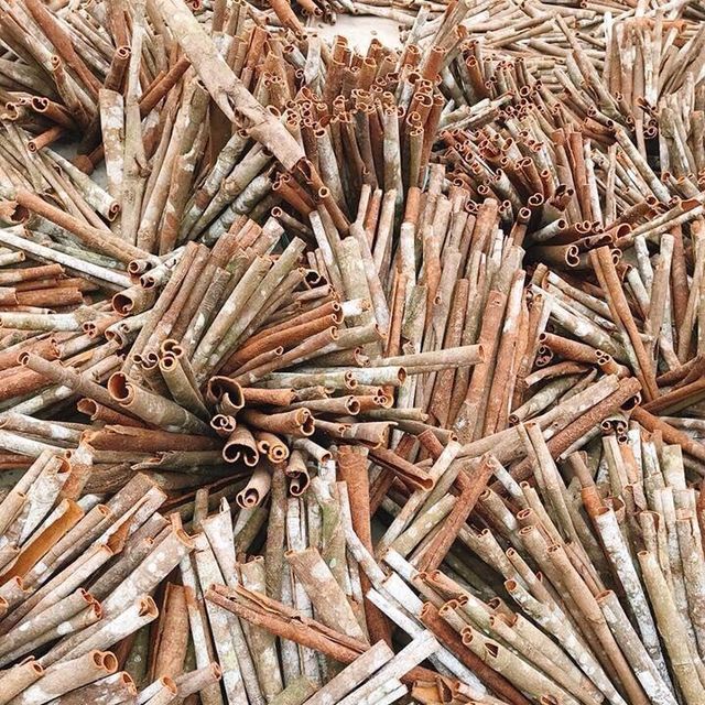 Whole Tube Cassia (unpeeled) Origin Vietnam Form Whole Stalks Port Hai Phong Port Max. Moisture (%) 13.5 Packaging 40kg / PP bag - Image 2