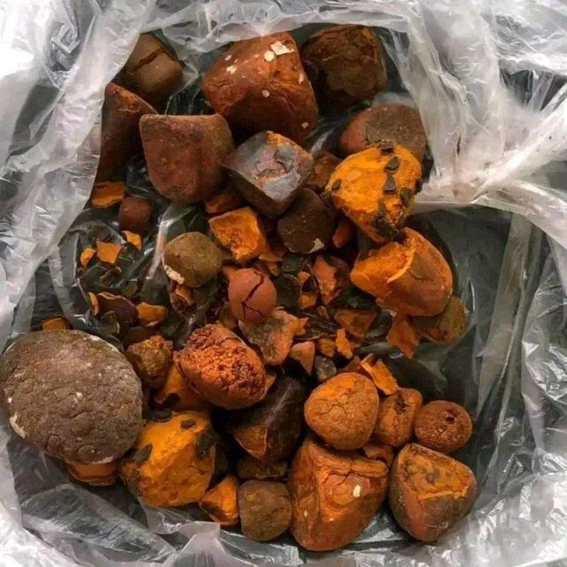 Premium Quality 100% Natural Ox Gallstones/Cattle Gallstones/ Cow Gallstones for Very Cheap and Reasonable Prices - Image 4