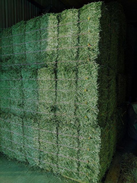 High-quality Natural Alfalfa Hay Feed Grade Pellets and Bales for Cattle & Horse Feeding 25kg Bags - Image 4