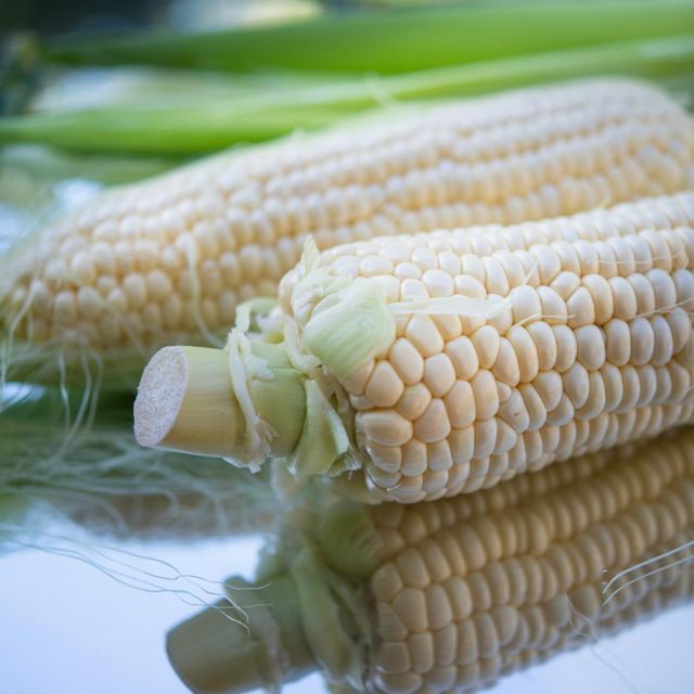 Natural White Corn Farm Fresh Corn Processed Carefully To Ensure Maximum Purity And Quality - Image 2