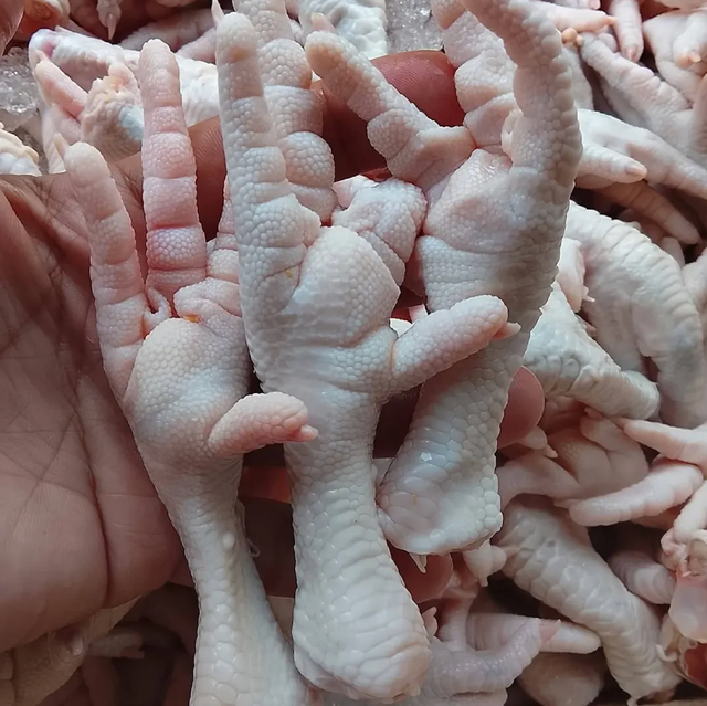 Premium Poultry – Grade A Fresh Frozen Chicken Paws Export Quality Chicken Feet 10kg On Sale - Image 1
