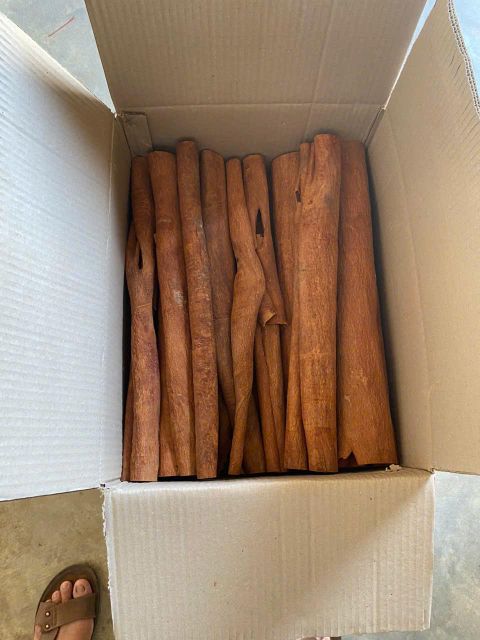 Cinnamon - Image 3