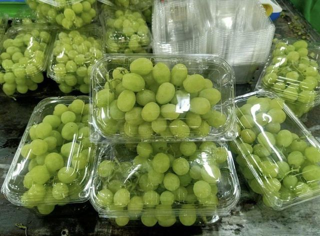 Premium Class 1 Seedless Grapes Now available from South Africa, 100% Organic, NEW CROPS!! – product photo 4, product detail gallery