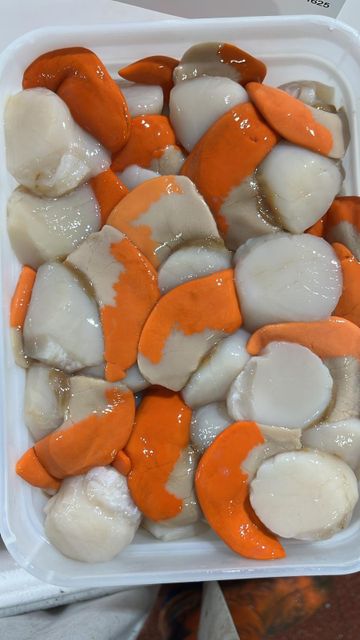 BEST SEAFOOD ROE-OFF SCALLOP MEAT(PECTINIDAE SEA FROZEN) A PREMIUM CHOICE FOR FINE DINING 10KG IQF PACKED FOR SALE - Image 4