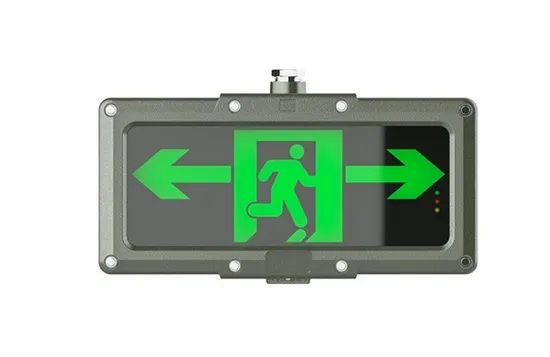 3W Explosion Proof Emergency LED Light Emergency Exit Lamp Ceiling Mounted LED Exit Lighting with High Quality - Image 1