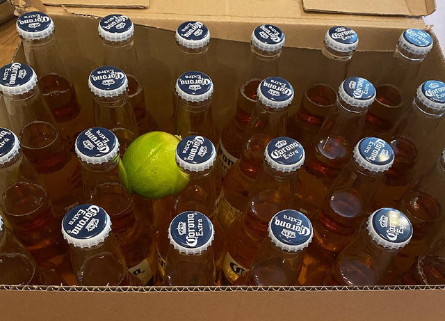 Refreshing Corona Extra Original Mexican Lager 24 × 355ml bottles per case - Image 4