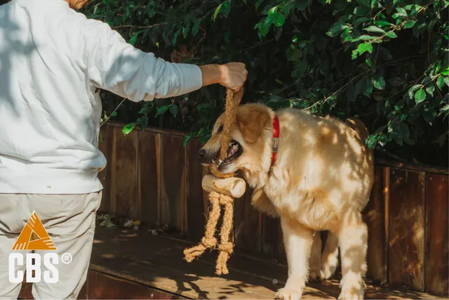 COFFEE&COCO TUG FOR DOG CHEW TOY - Image 1