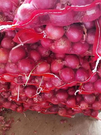 Fresh Small Size Red Onion with Best Quality Color Red Type Fresh Origin China Shape Oval,Flat Trademark Manhing HS Code 0703101000 - Image 1