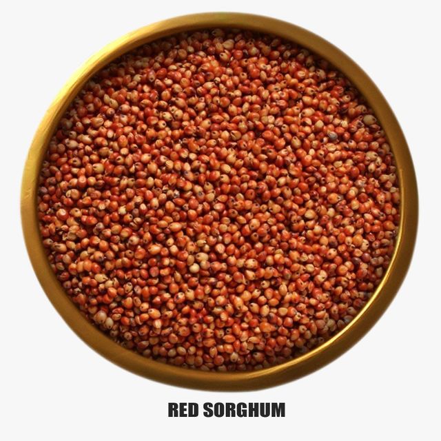 Red Sorghum Bulk Supply With Competitive Wholesale Price For Buyers - Image 3