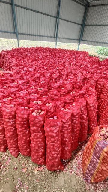 fresh indian onion (nashik) – product photo 3, product detail gallery